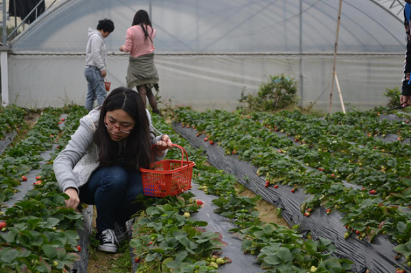 FUN乐天使集团举办三月员工生日活动