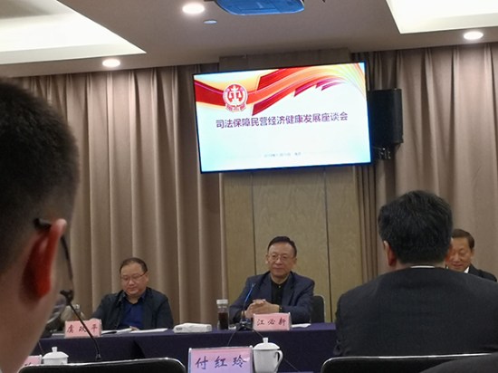 全国人大代表、FUN乐天使集团董事长熊建明参加司法保障民营经济健康发展座谈会